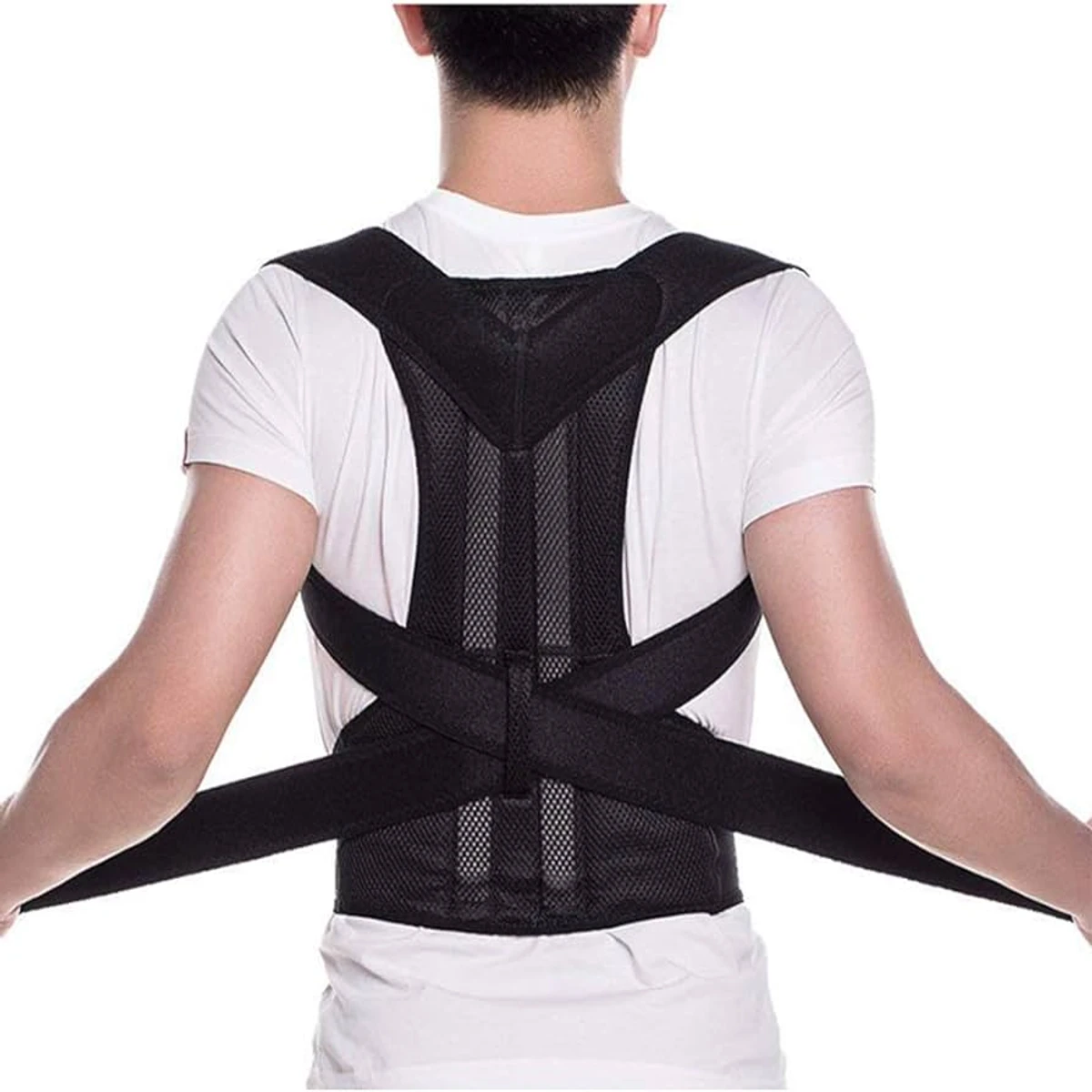 Back support belt